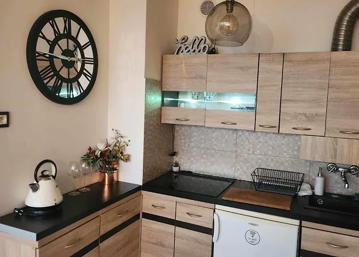 Elegancki Apartament W Centrum Miasta P&P